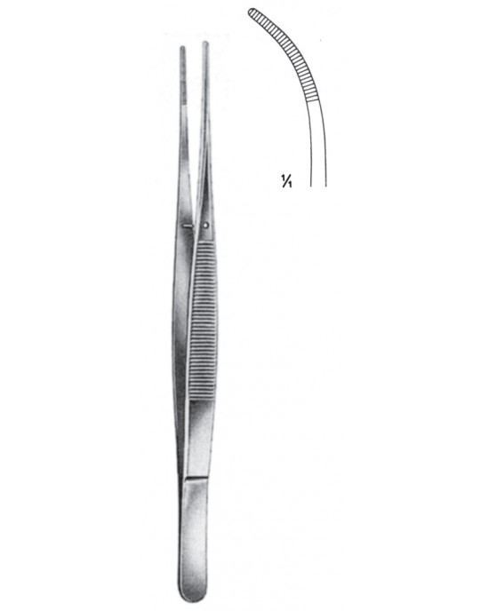 HD  08-2021-21