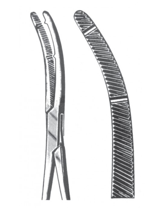HD  11-2699-19