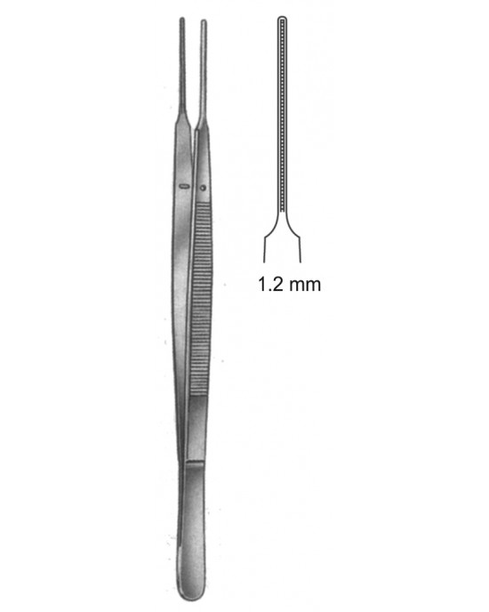 HD  19-5503-24