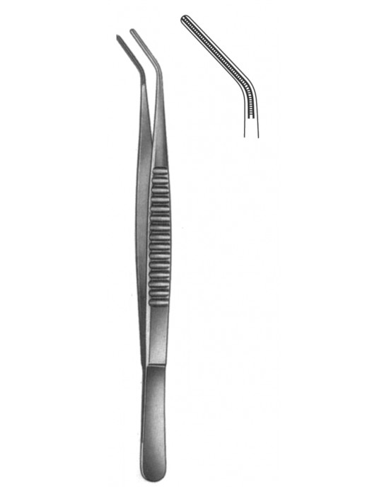 HD  19-5513-24