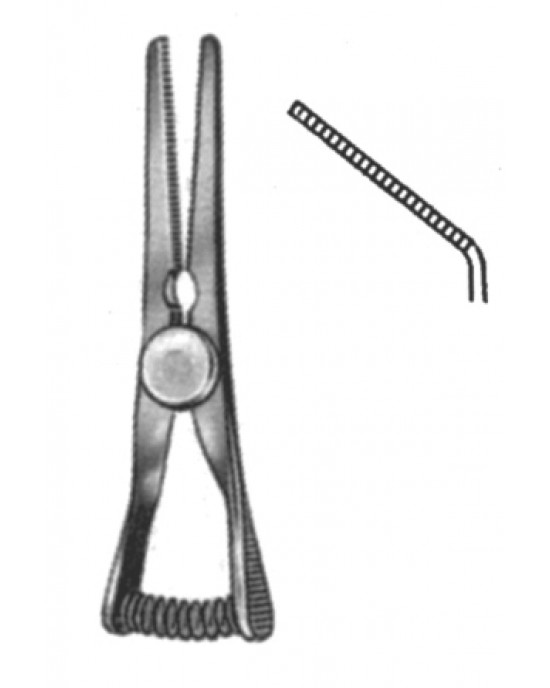HD  19-5517-03