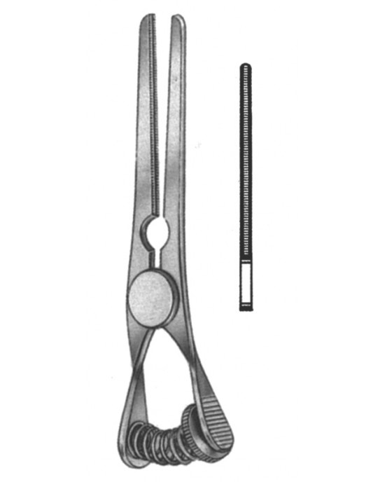 HD  19-5519-06