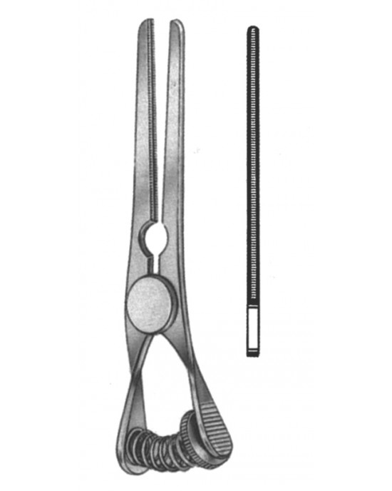 HD  19-5519-08