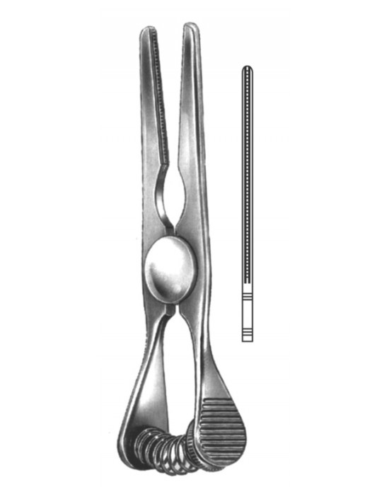 HD  19-5521-09