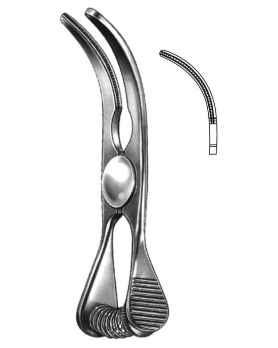 HD  19-5522-06