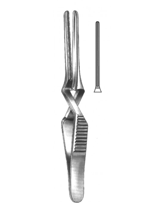 HD  19-5529-08