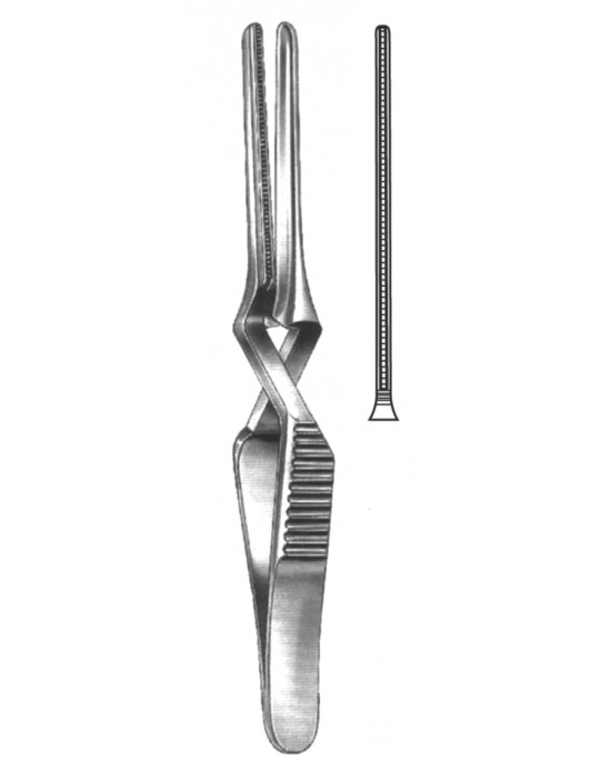 HD  19-5529-10