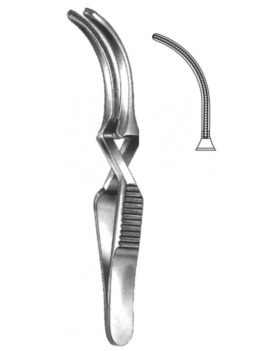 HD  19-5530-08
