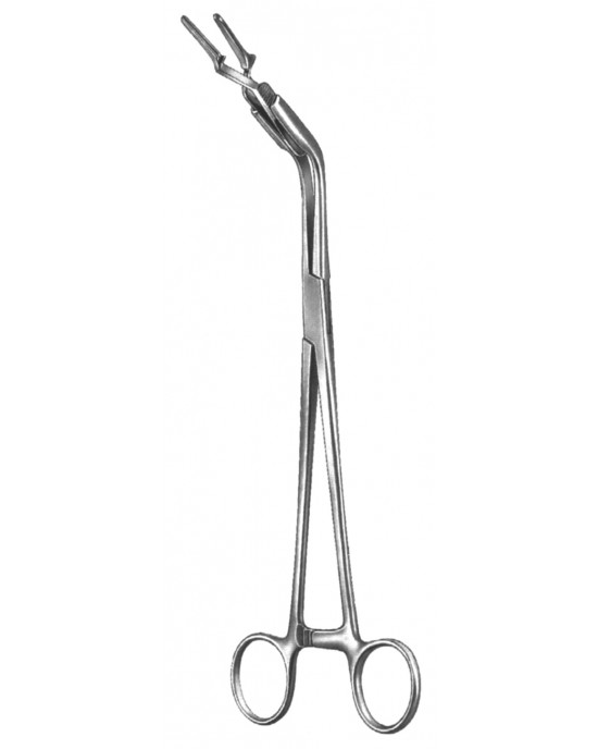 HD  19-5531-23