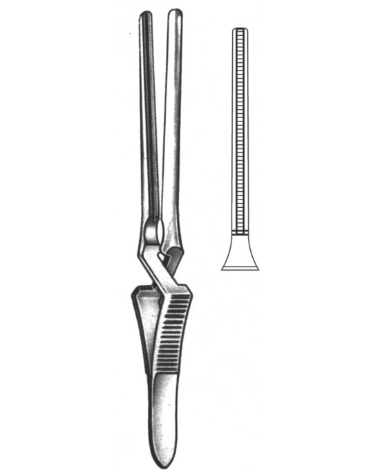 HD  19-5532-11