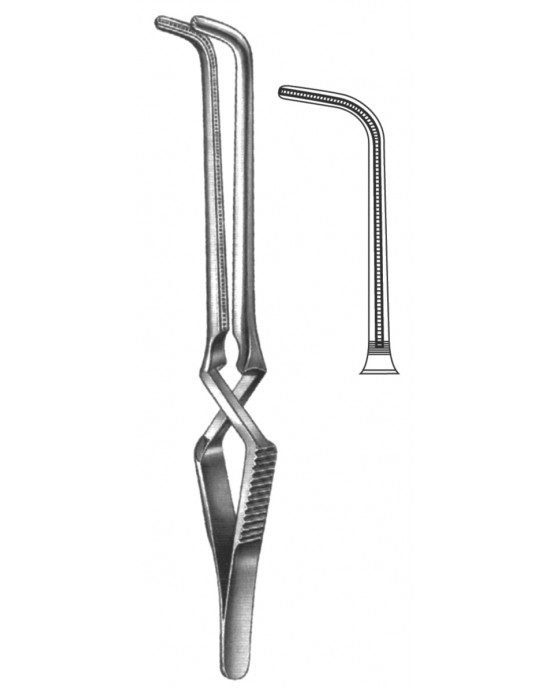 HD  19-5533-09