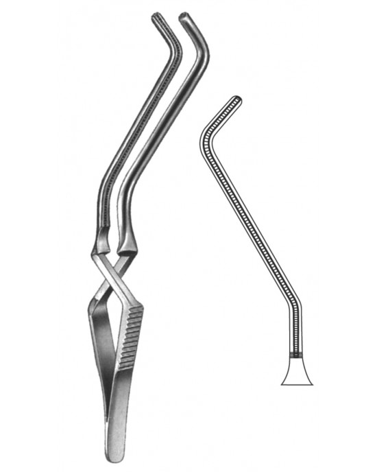 HD  19-5534-01
