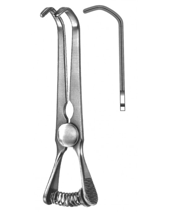 HD  19-5537-10