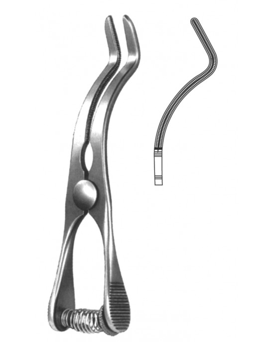 HD  19-5538-09