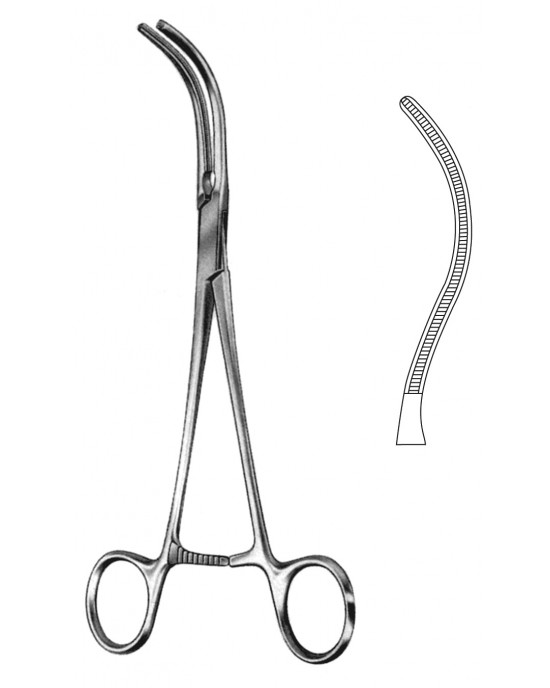 HD  19-5540-21