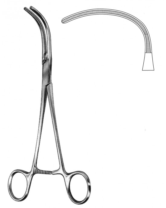 HD  19-5541-18