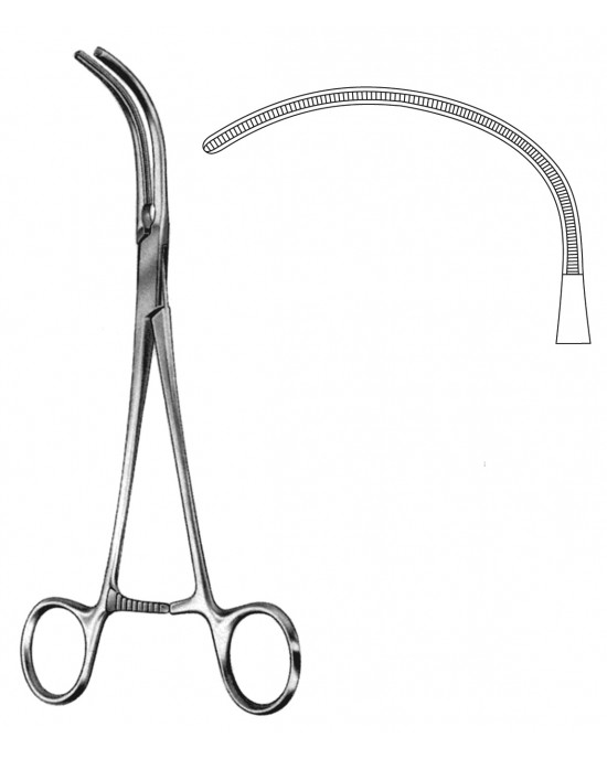 HD  19-5541-22