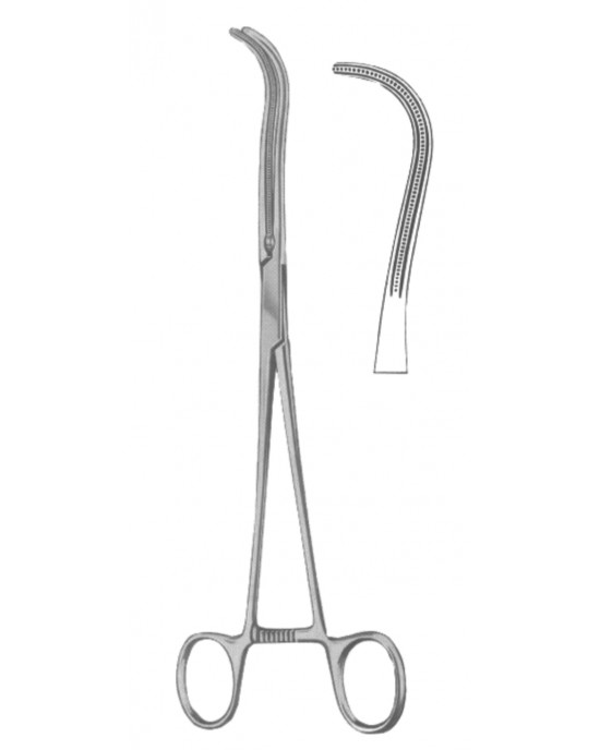 HD  19-5543-19
