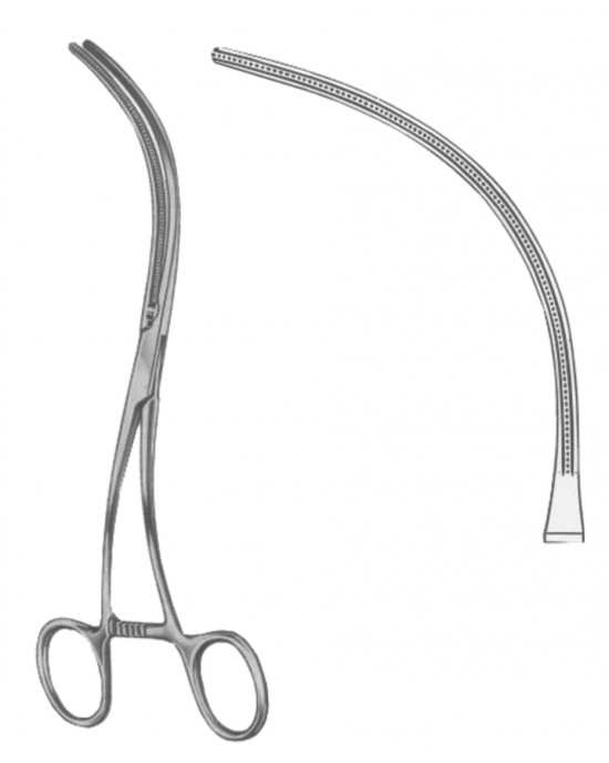 HD  19-5544-18