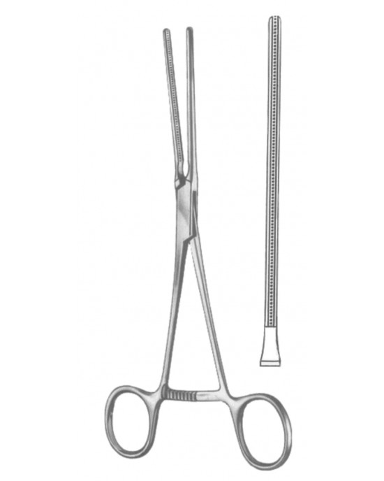 HD  19-5545-01