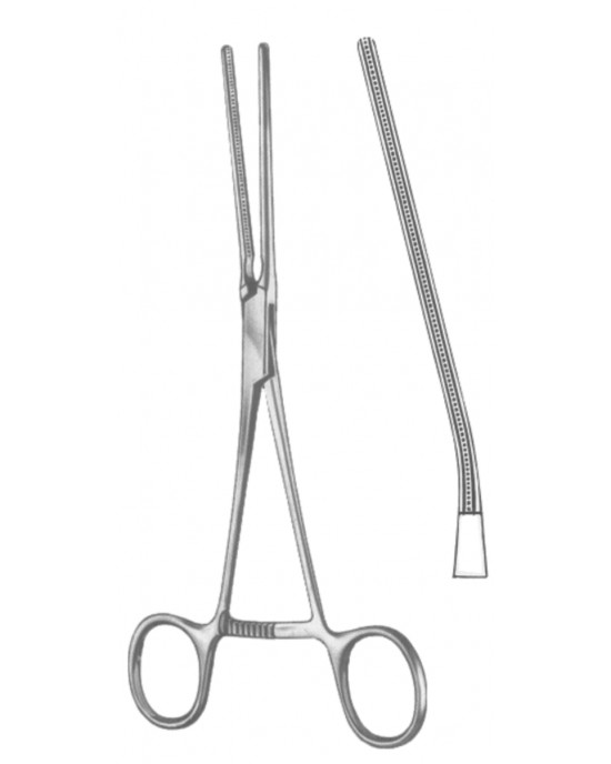 HD  19-5545-02