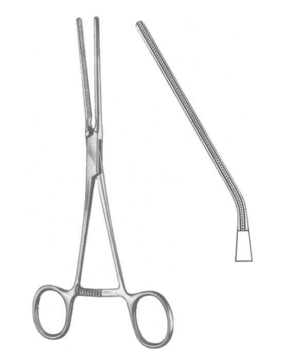 HD  19-5545-03