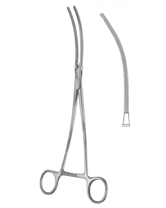 HD  19-5547-24