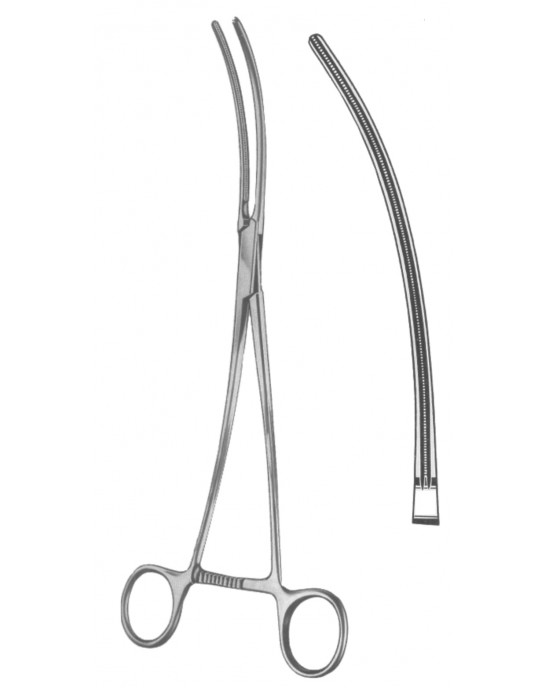 HD  19-5547-31
