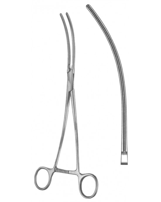 HD  19-5547-33