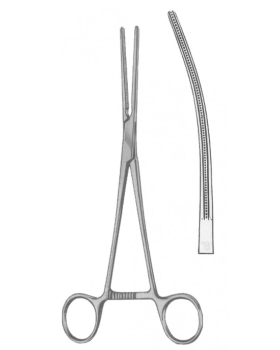HD  19-5549-18