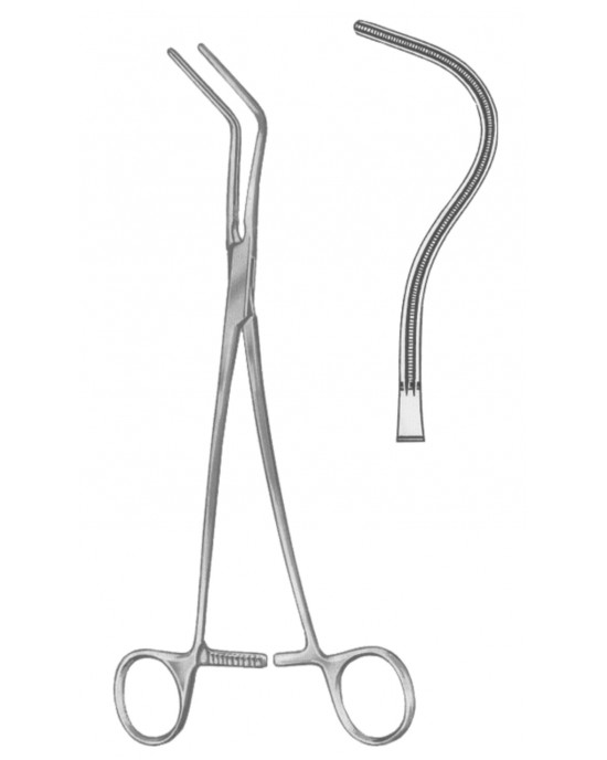 HD  19-5554-02