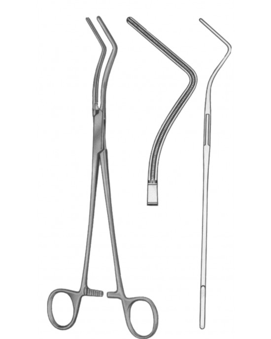 HD  19-5560-25