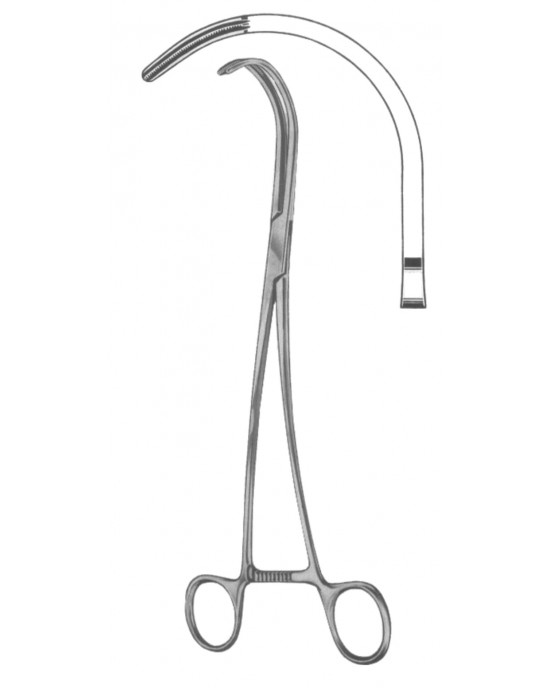 HD  19-5564-25