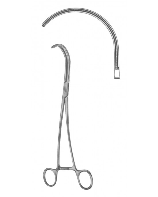 HD  19-5564-26