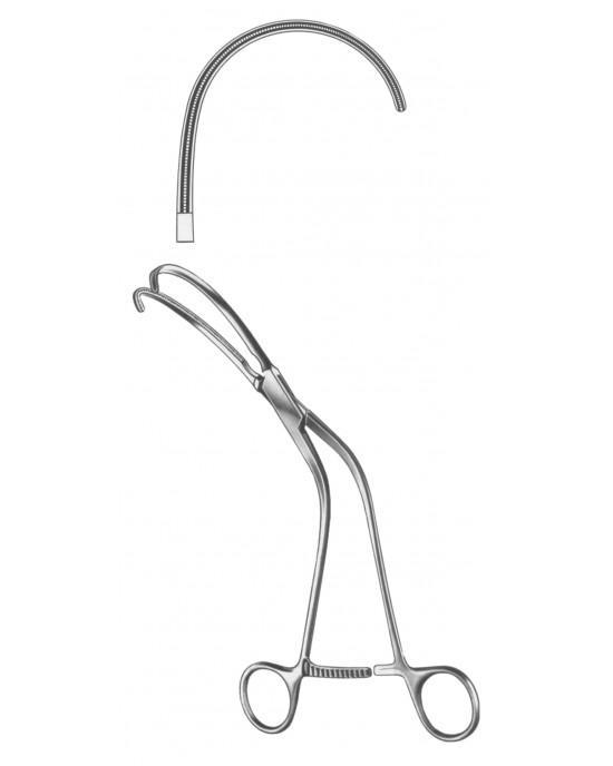 HD  19-5565-01