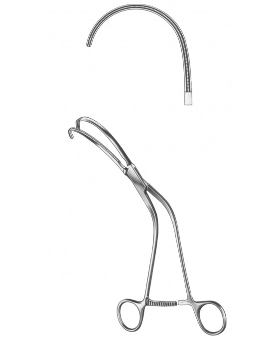 HD  19-5565-02