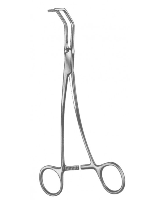 HD  19-5568-00