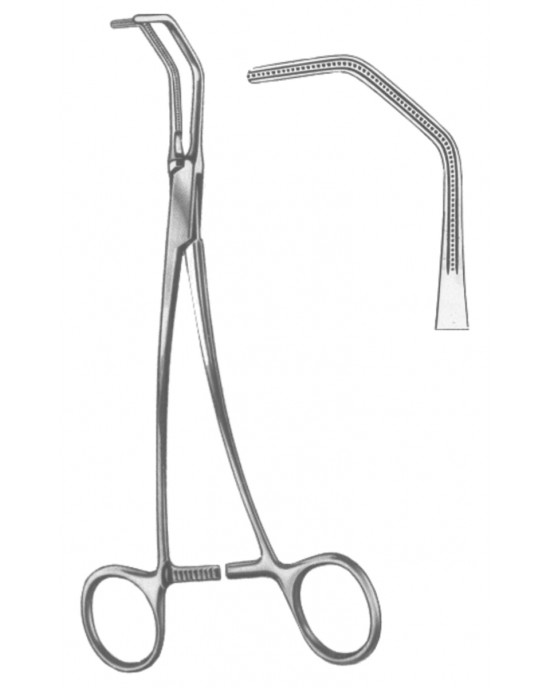 HD  19-5568-20