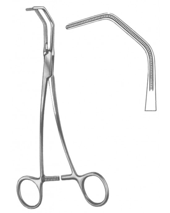 HD  19-5568-25