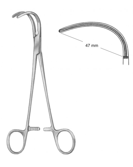 HD  19-5569-02