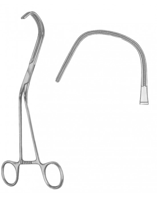 HD  19-5572-21