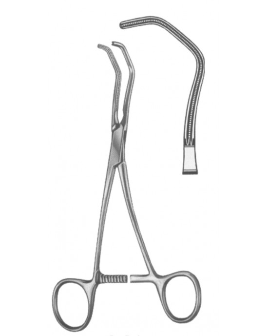 HD  19-5573-17