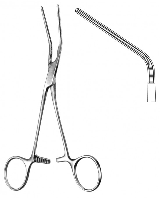 HD  19-5575-20