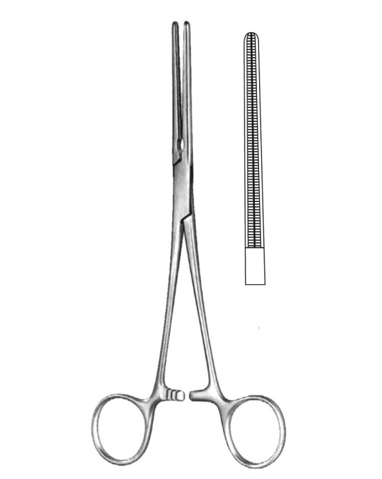 HD  19-5578-16