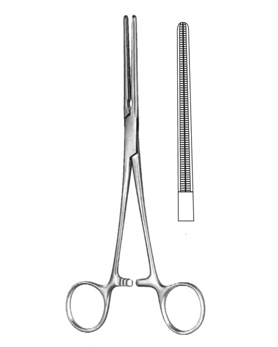 HD  19-5578-18