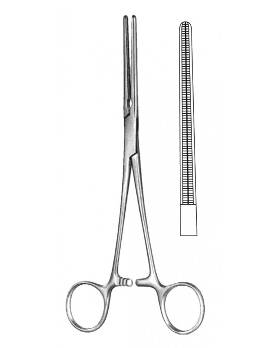 HD  19-5578-20