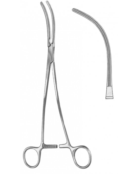 HD  19-5579-24