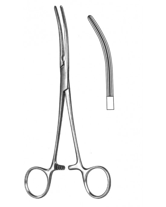 HD  19-5580-14