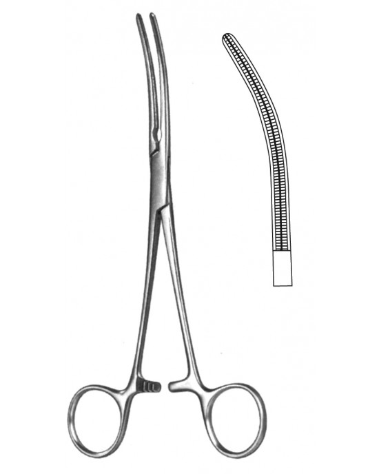 HD  19-5580-16
