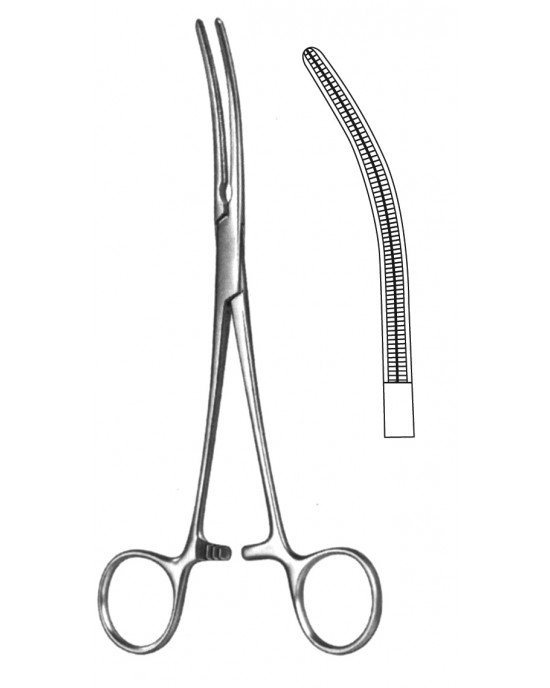 HD  19-5580-18
